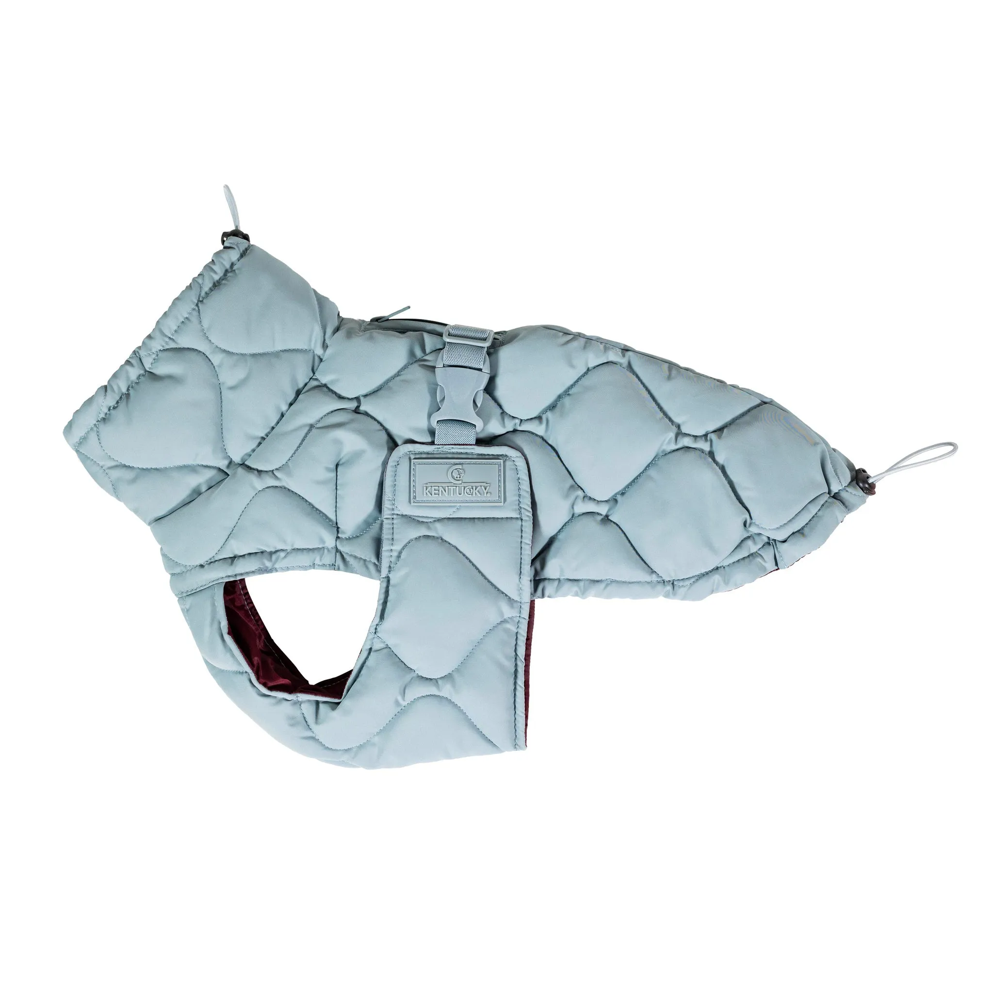 Dog Coat Winter Pina