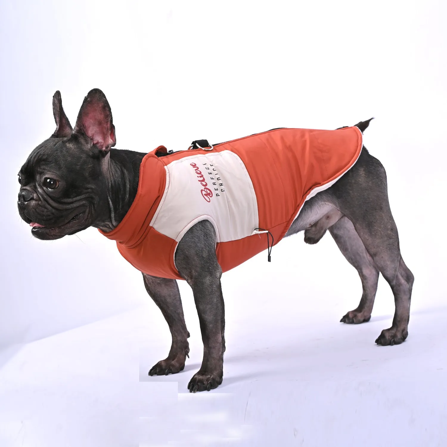 Frostbite Outfit - Frenchie Winter Jacket With Harness Set V1