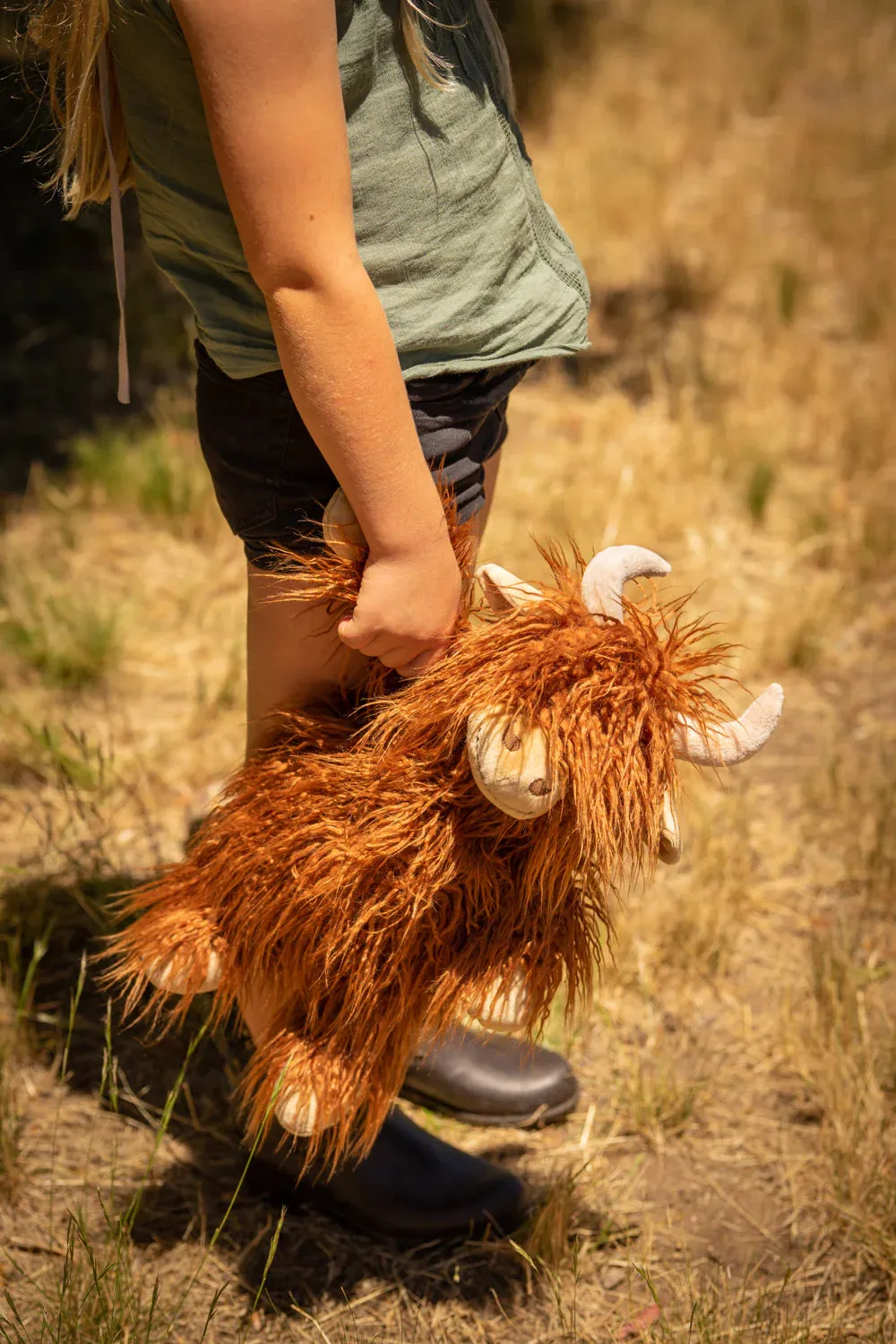 Henry the Highland Cow - Brown