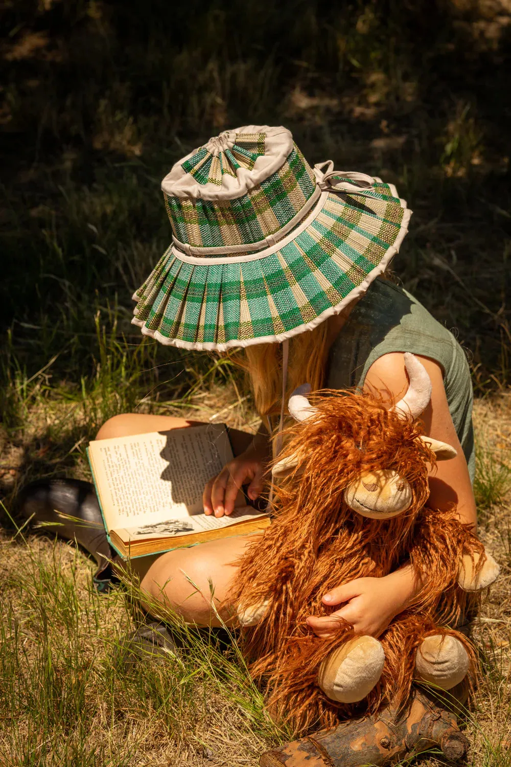 Henry the Highland Cow - Brown