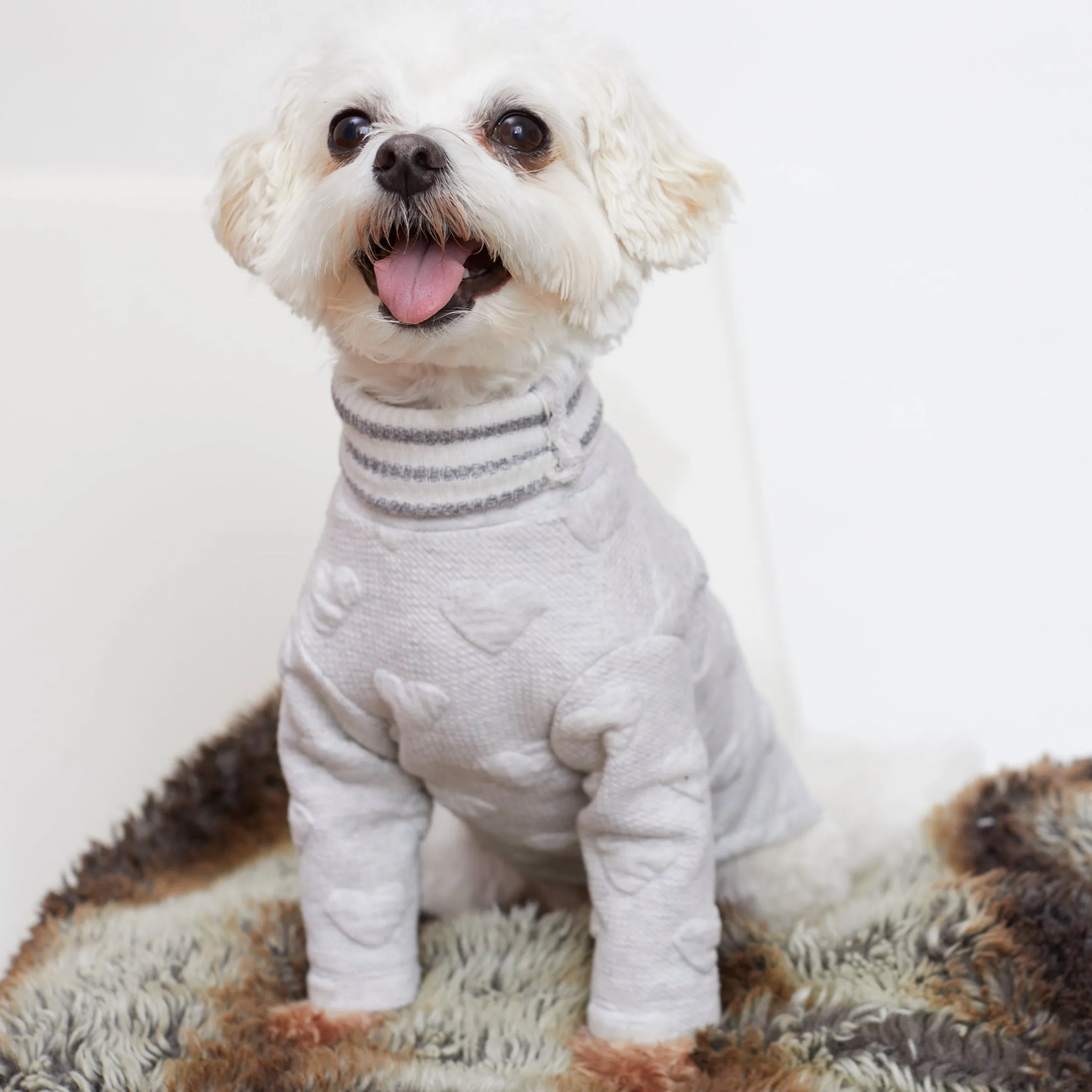 Lovie Doggie | Ash White Doggie Turtleneck Top