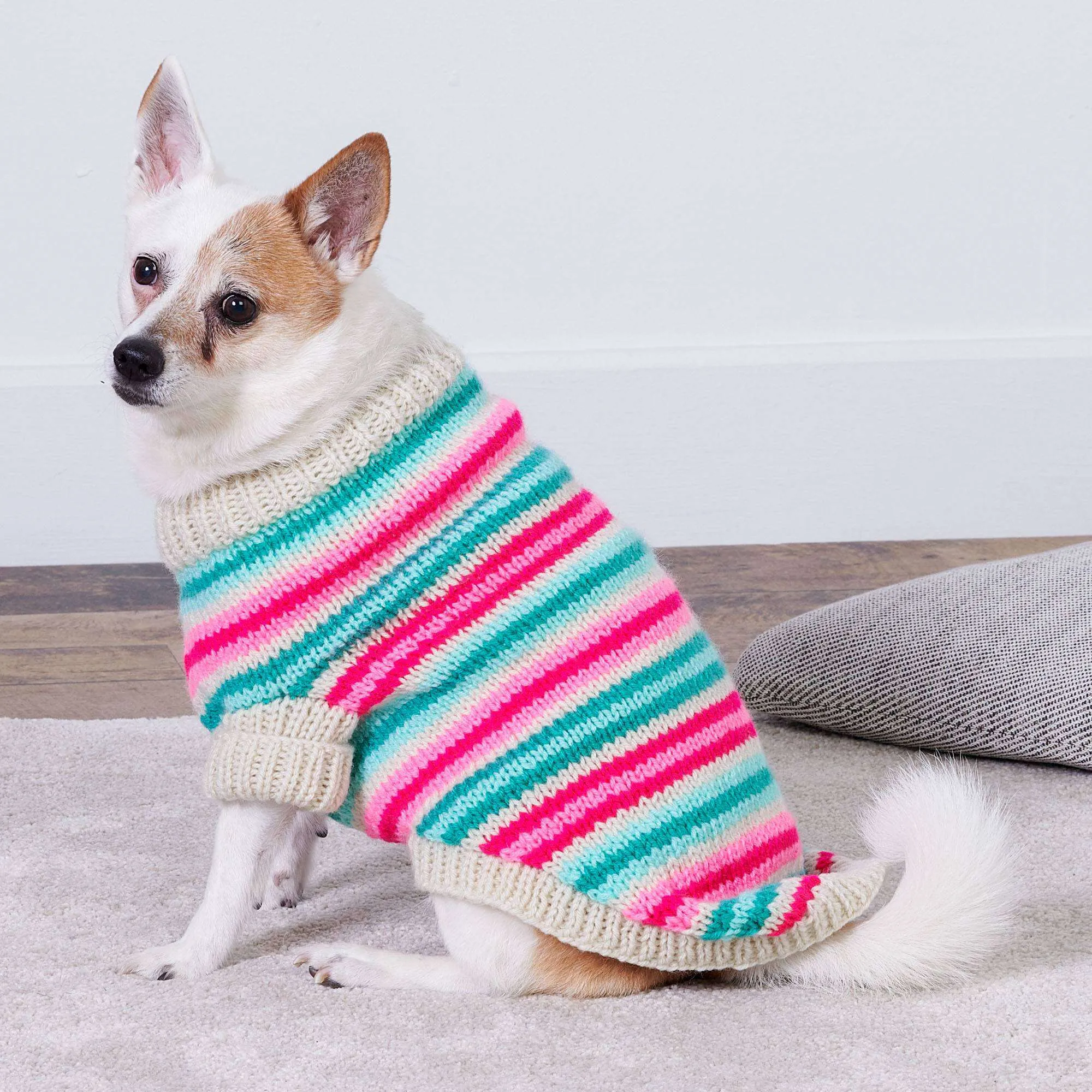 Red Heart Jazzy Stripes Knit Dog Coat