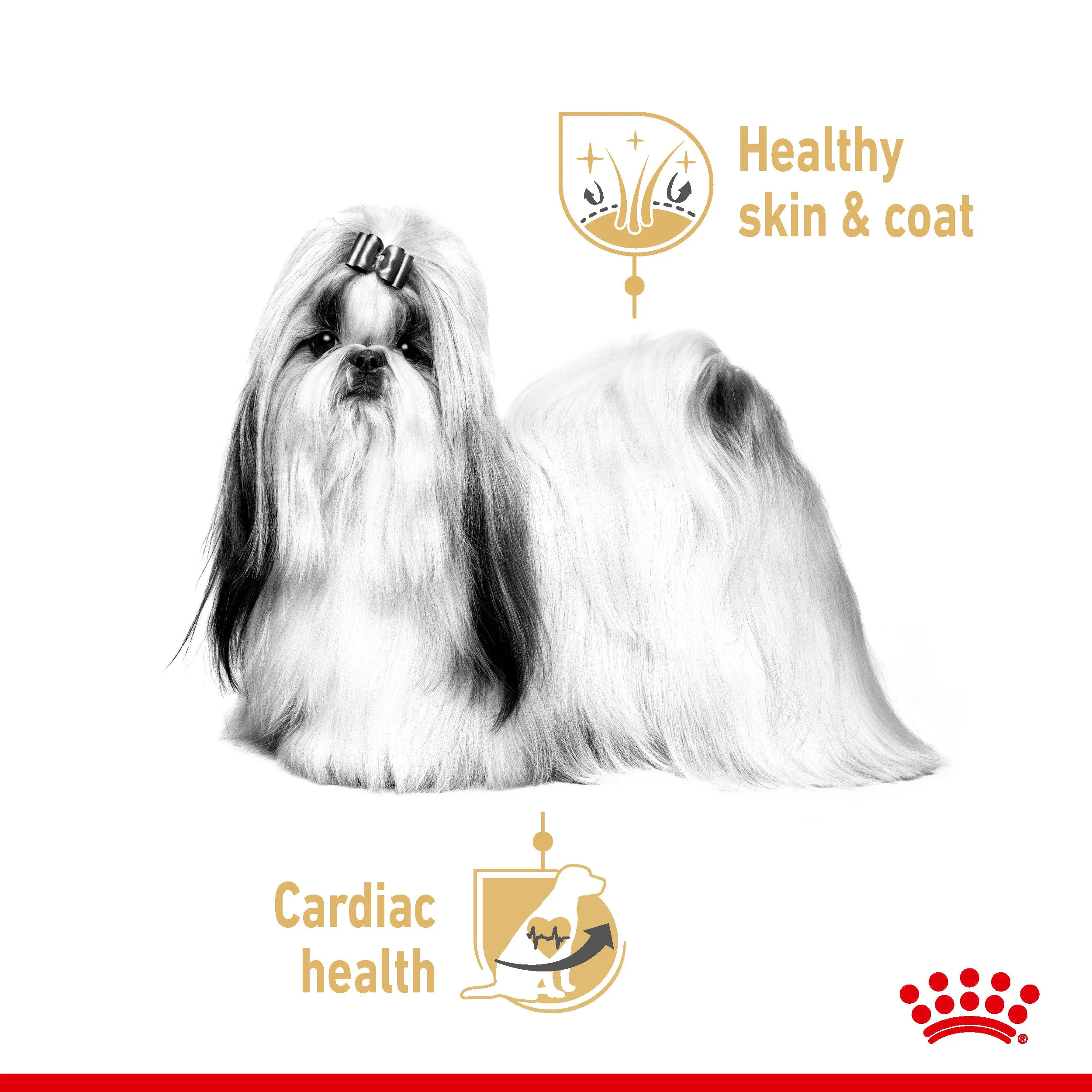 Royal Canin Dog Pouch - Shih Tzu