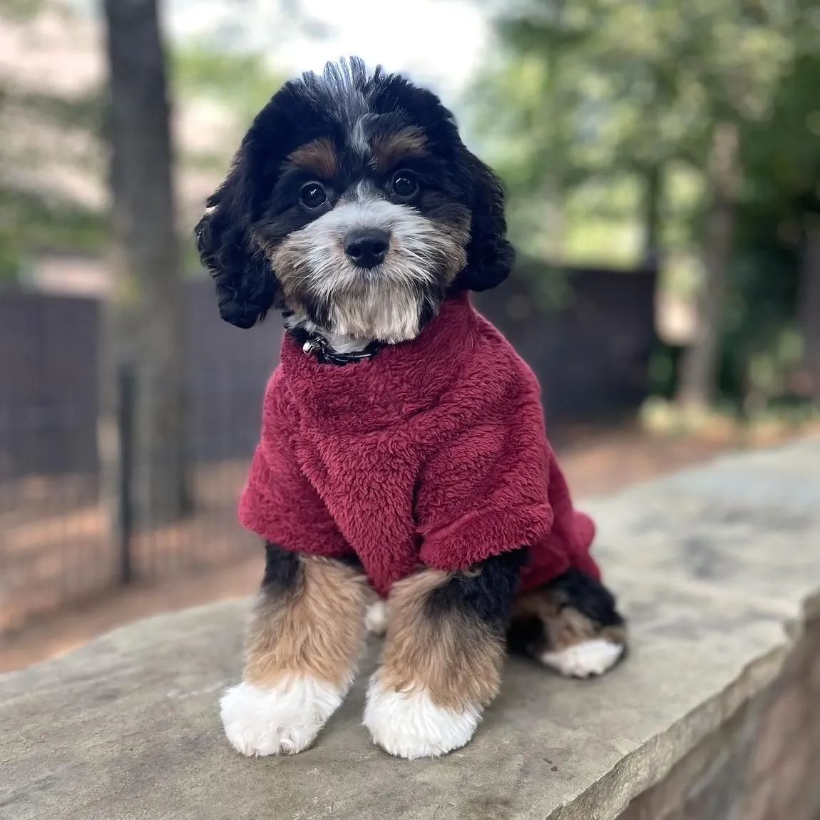 Soft Plush Pullover Dog Coat Burgundy