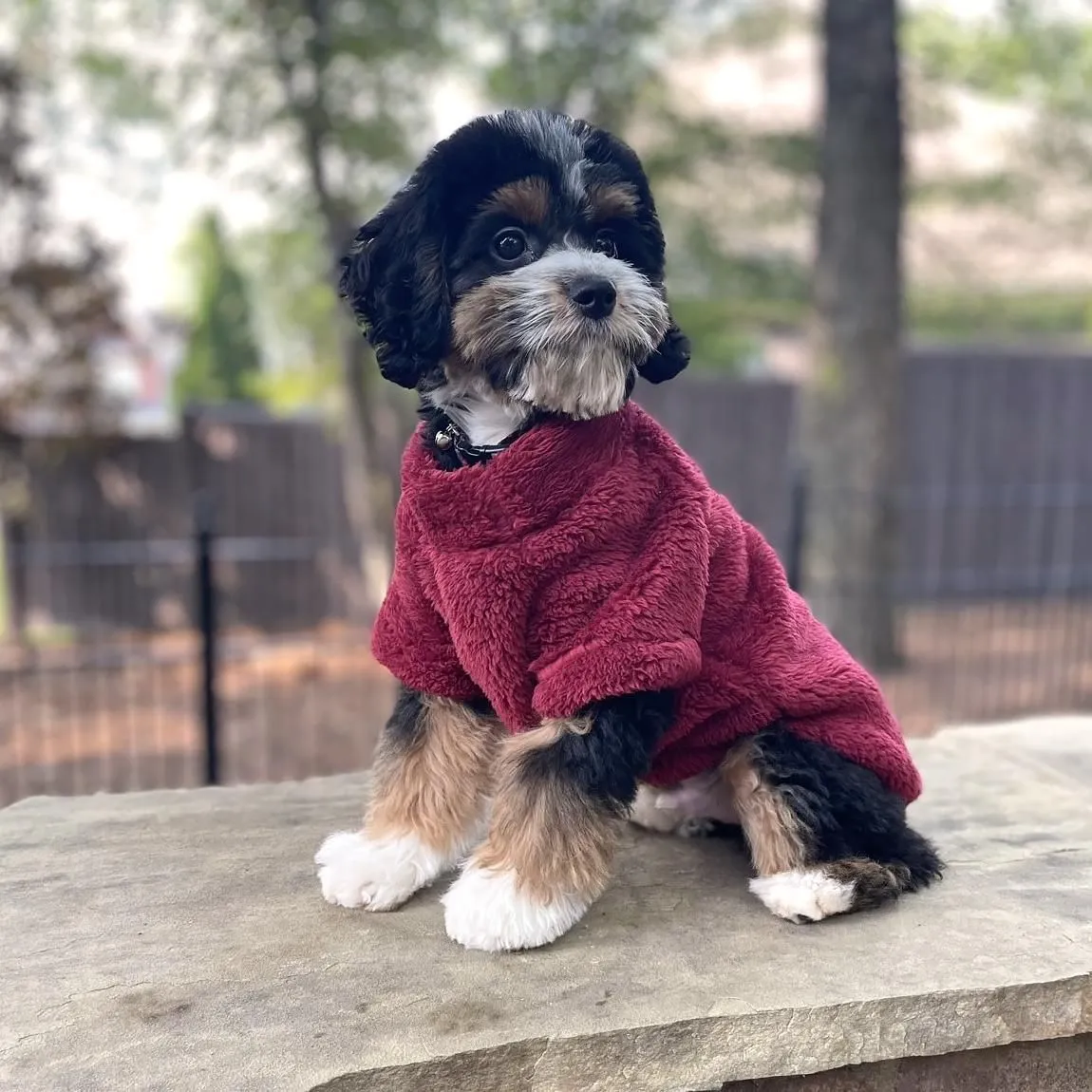 Soft Plush Pullover Dog Coat Burgundy