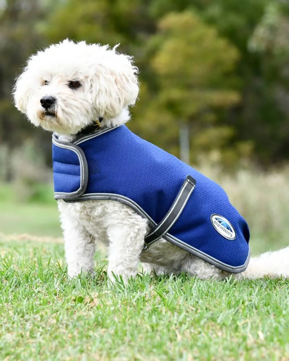 WeatherBeeta ComFiTec Premier Free Parka Dog Coat